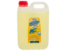 Entfetter AC2 5 LITER