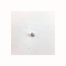 Befestigungsschraube für Candy Trocknerfilter 40006911