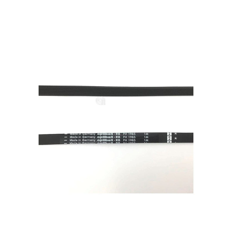 Correa H7 1985 Poly-V für Candy-Trockner Original 40015407