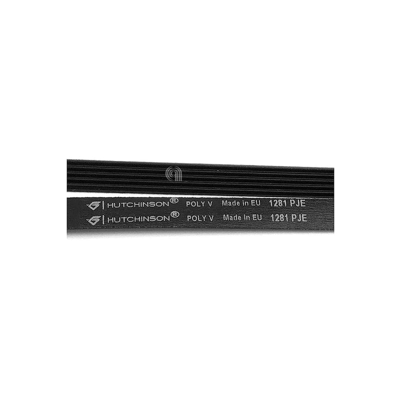 ELECTROLUX, MIDEA - Waschmaschinenriemen 1281 J5 EL - 4055123915