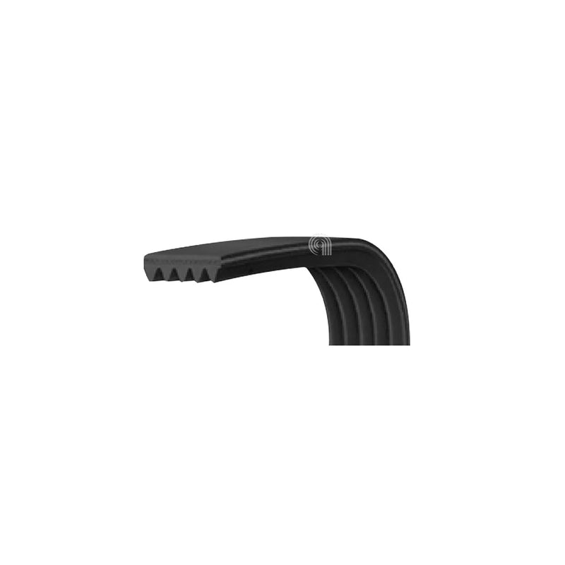 ELECTROLUX, ARISTON, FAGOR - Poly-V-Riemen 1200 J6 für Waschmaschine - C00028121