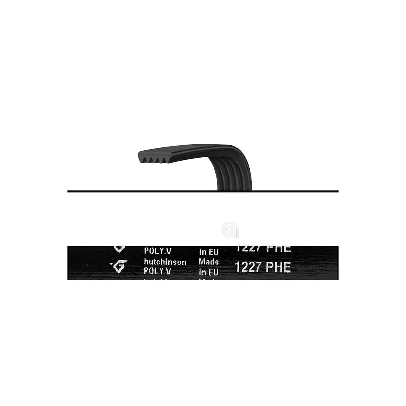 VESTEL, UNIVERSAL - Waschmaschinenriemen 1227 H7 - 42210832