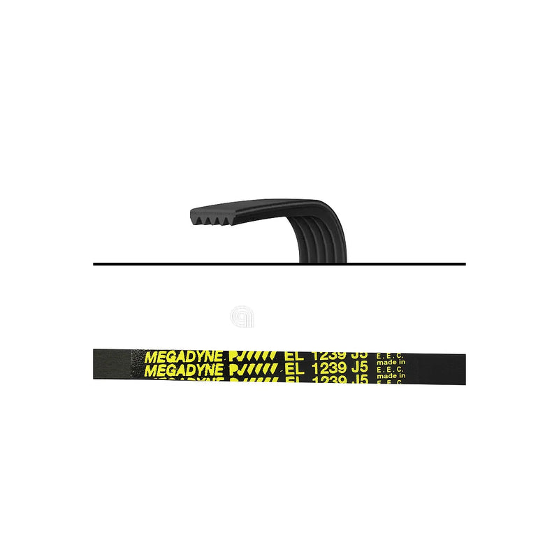 WHIRLPOOL, INDESIT, BAUKNECHT - Elastischer Poly-V Antriebsriemen J5 1239 - 481235818215