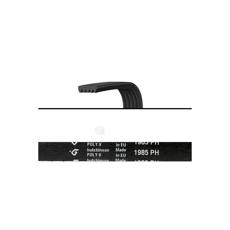 BAUKNECHT - Antriebsriemen 1985 H7 Poly-V - 03238600001580