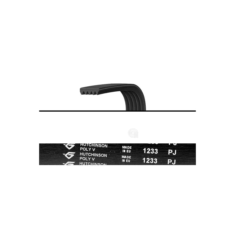 CANDY GORENJE - Antriebsriemen Waschmaschine - AST-00126284