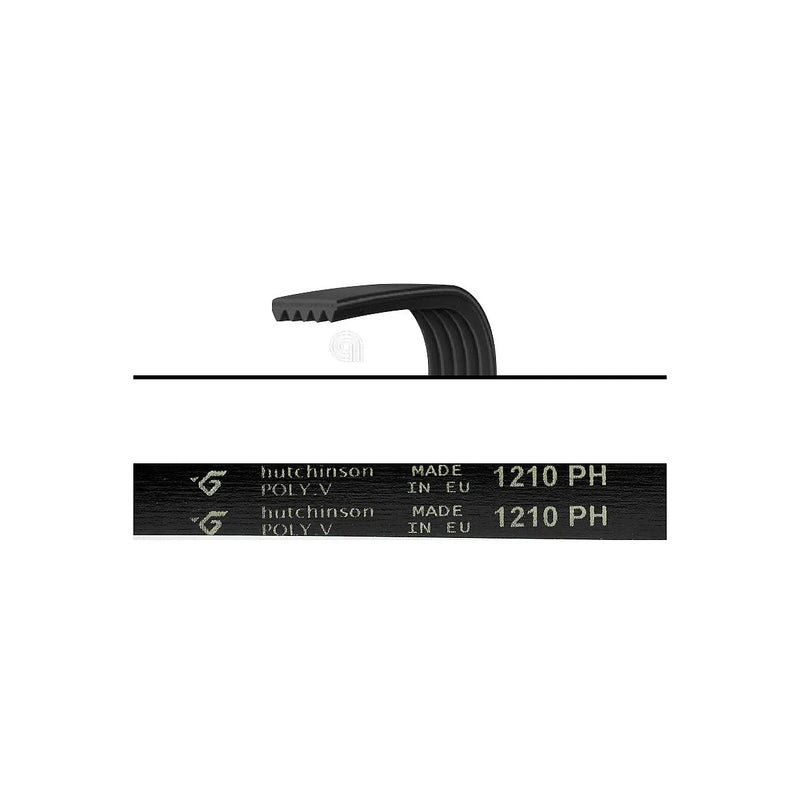 CREDA, INDESIT, HOTPOINT - Waschmaschinenriemen 1210 H7 - C00203999
