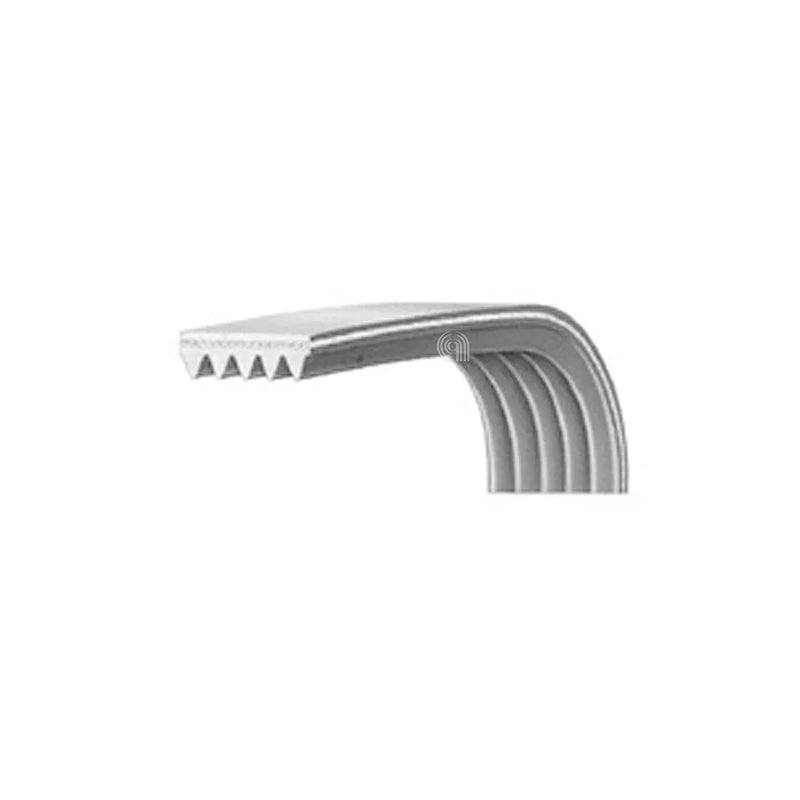 LG FAGOR EDESA - Antriebsriemen Waschmaschine J5 1173 - 4400FR3116A