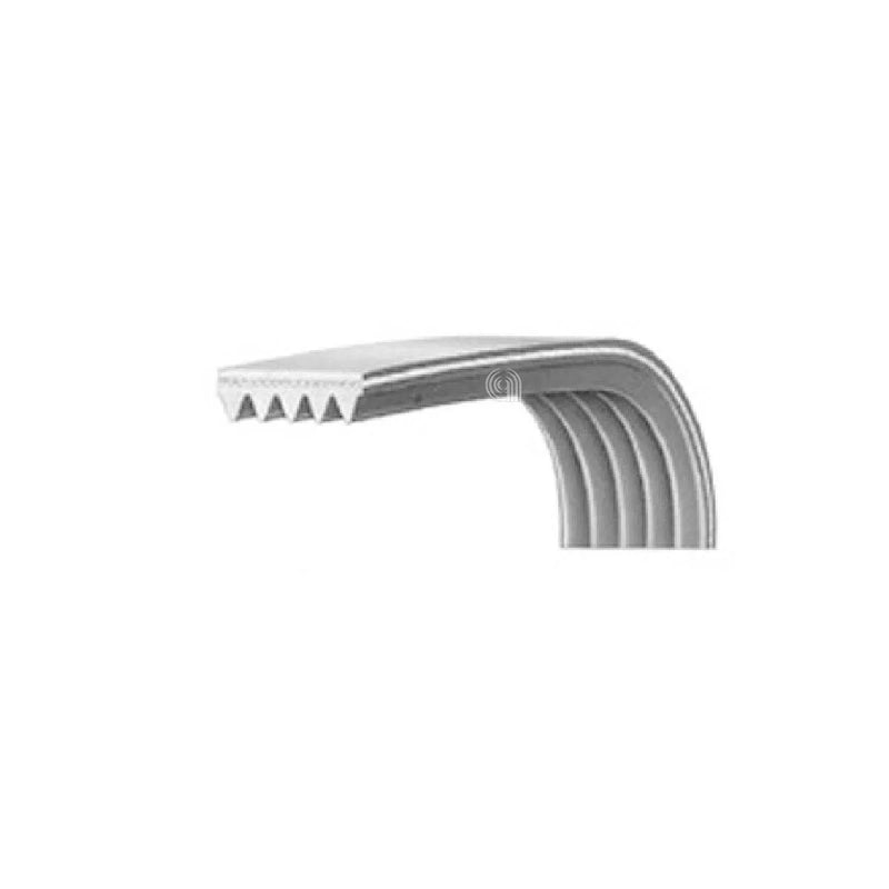 BEKO - Poly-V-Antriebsriemen 1244 J5 Waschmaschine - 2466300201