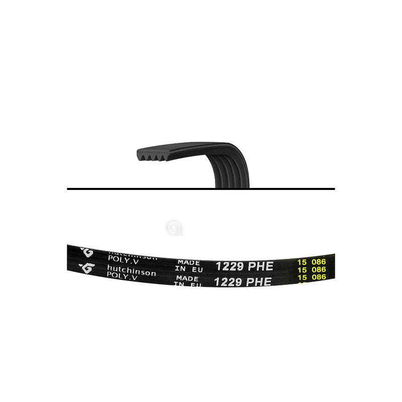 WHIRLPOOL, BAUKNECHT, POLAR, IGNIS - Waschmaschinenriemen 1229 H6 - 480111101149