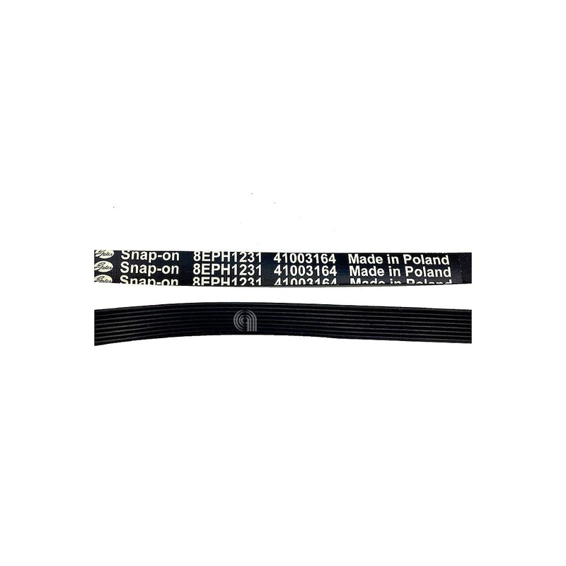 Original Poly-V Riemen Correa H8 1231 für Candy Waschmaschinen und kompatible Modelle