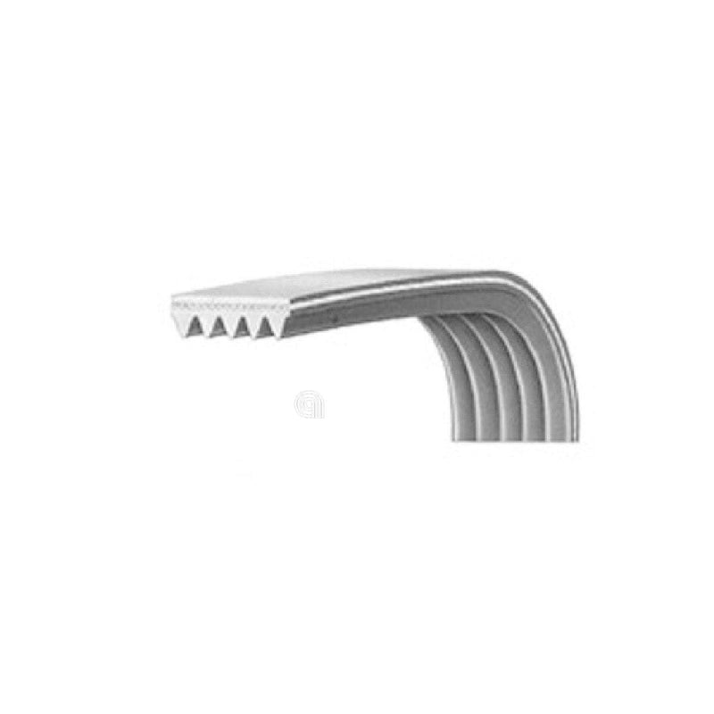 Poly-V-Riemen H6 1227 für Bompani- und Vestel-Waschmaschine, Original
