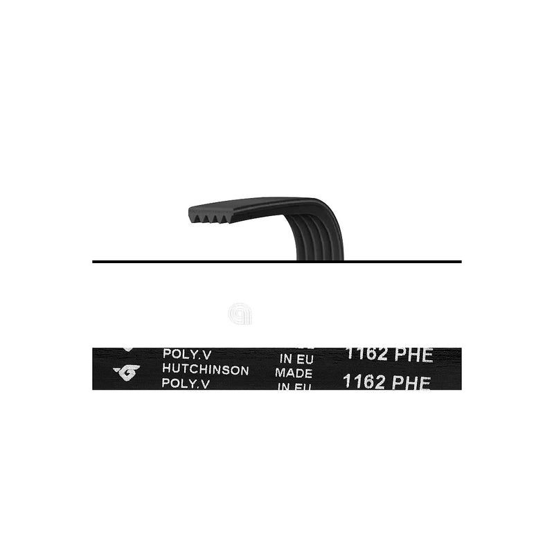 ATLANT - Poly-V-Riemen H7 für Waschmaschine - 908092003041