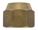 Kühlmutter SAE 3/4'' Innengewinde | 03TF075