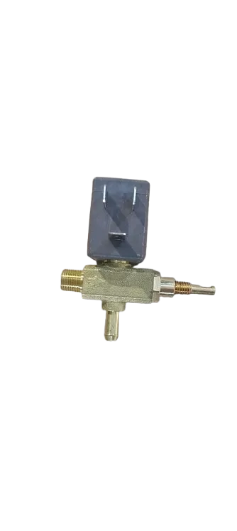 Electroválvula Polti Super Pro y Luxe M0006348